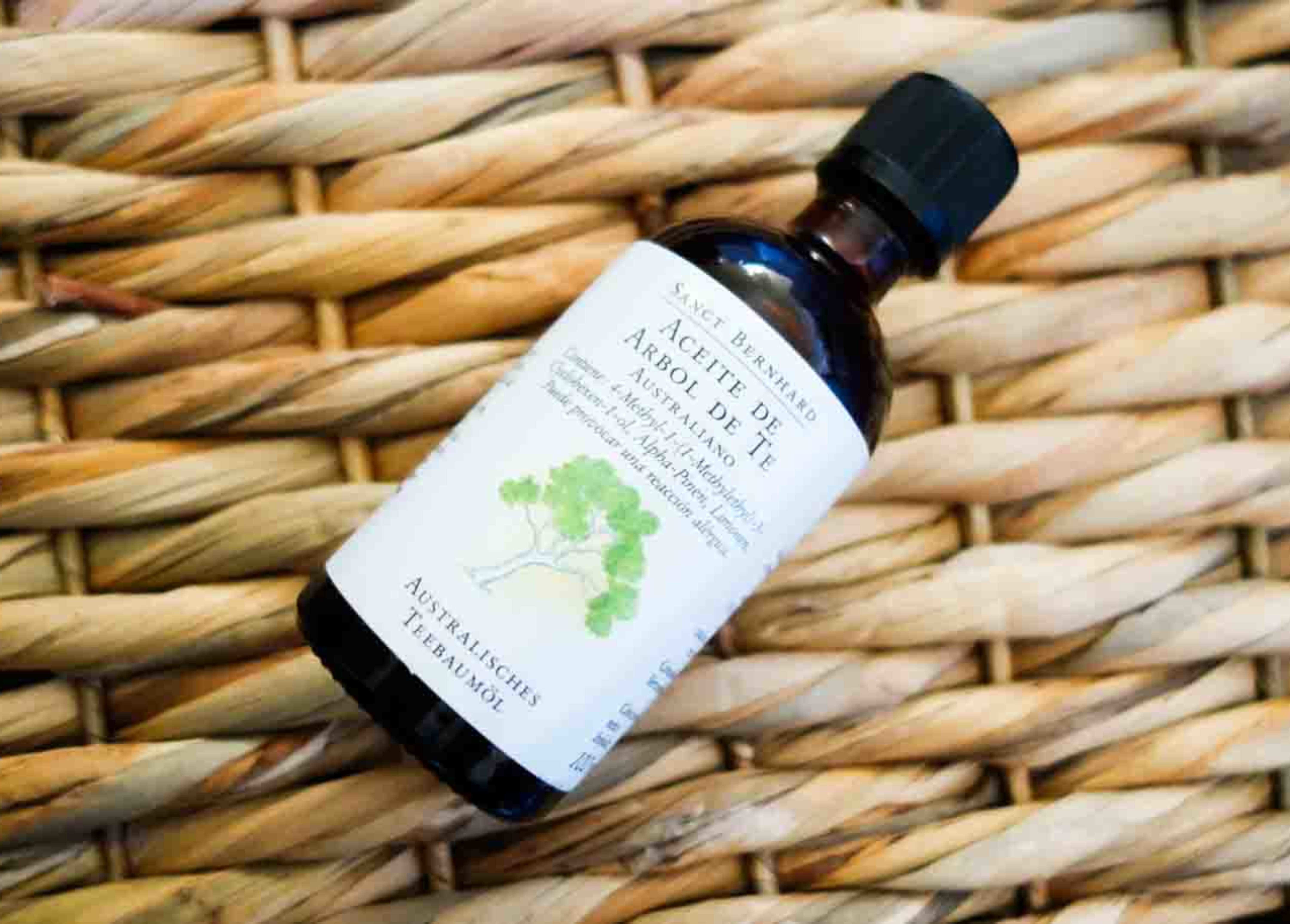 Árbol de té, el gran descubrimiento