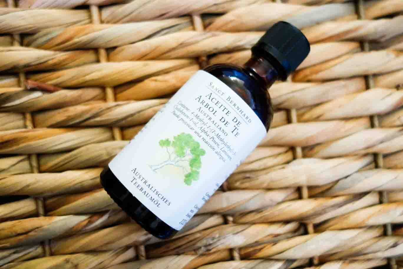 Árbol de té, el gran descubrimiento