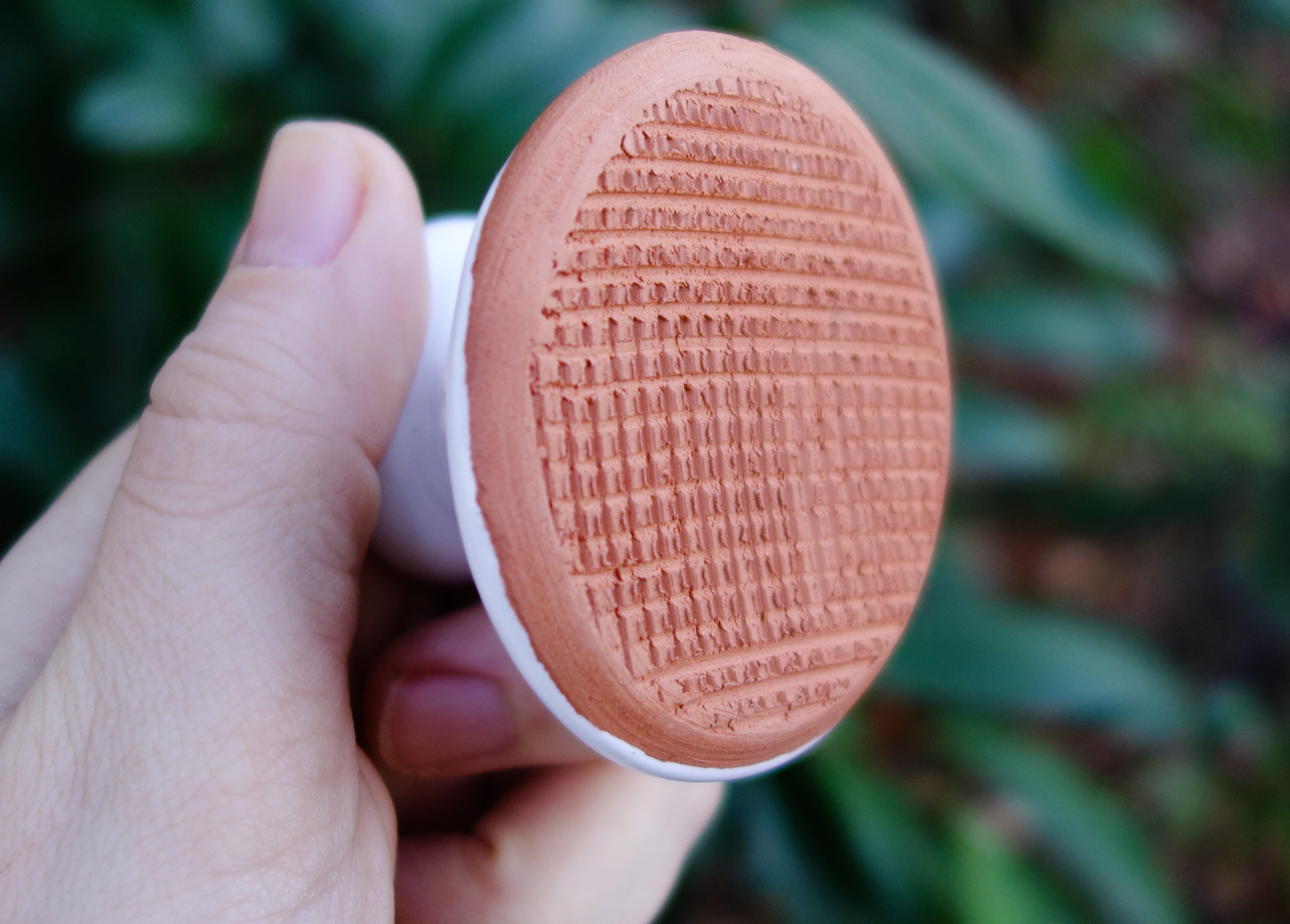Terrafeet, un exfoliante natural